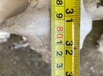 Victorian Cast Iron Radiator 16 Sections