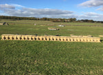Reclaimed Large set of 15 Stone Corbels Yorkshire Stone